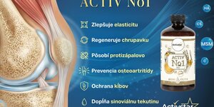 Az ízületek egész életünkben hordoznak minket.