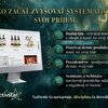🥇 Toborzó – Arany → Menedzser | Hotel Alexandra **** Púchov / VASÁRNAP